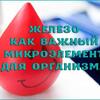 Статья врача онколога Екатерина Ткаченко (need translate)